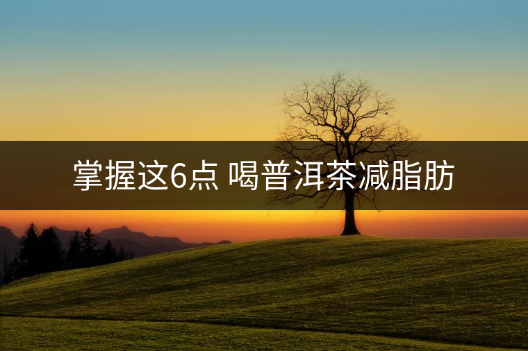 掌握這6點(diǎn) 喝普洱茶減脂肪 掌握這6點(diǎn) 喝普洱茶減脂肪
