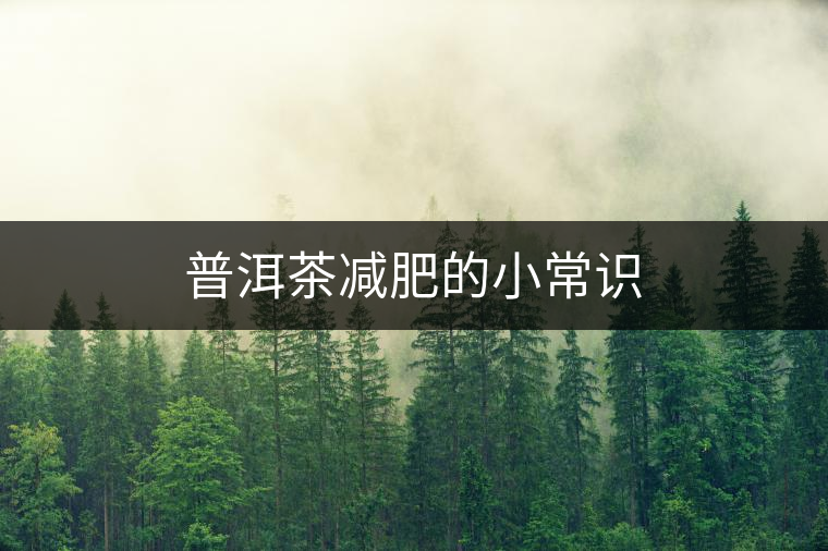 普洱茶減肥的小常識 普洱茶減肥的小常識