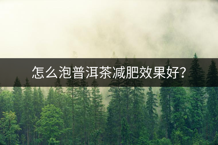 怎么泡普洱茶減肥效果好？