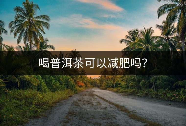 喝普洱茶可以減肥嗎？