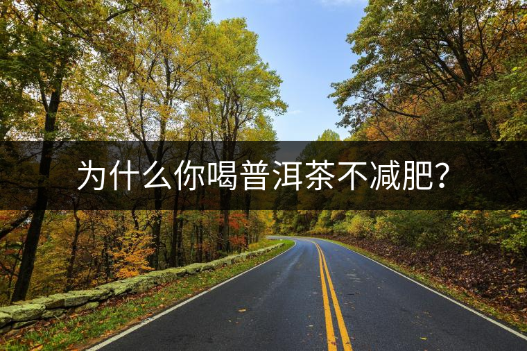 為什么你喝普洱茶不減肥？