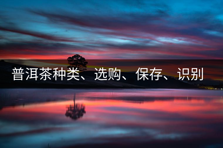 普洱茶種類、選購、保存、識別、沖泡