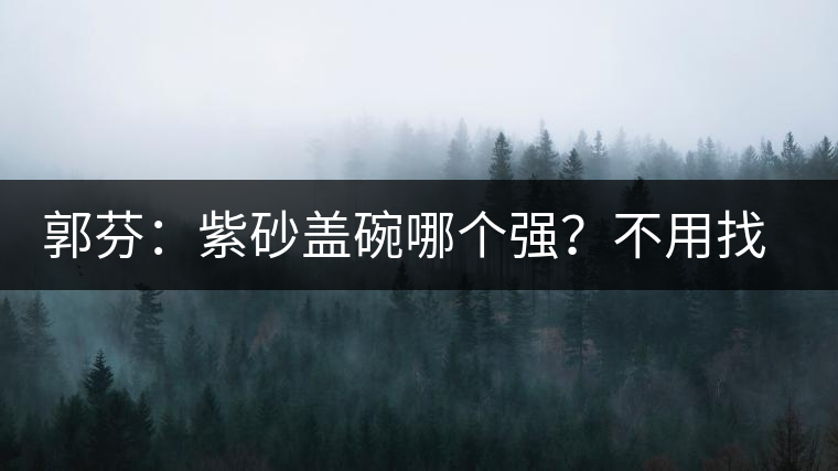郭芬：紫砂蓋碗哪個(gè)強(qiáng)？不用找藍(lán)翔