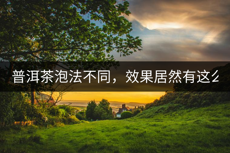 普洱茶泡法不同，效果居然有這么大區(qū)別！