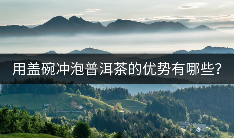 用蓋碗沖泡普洱茶的優(yōu)勢有哪些？