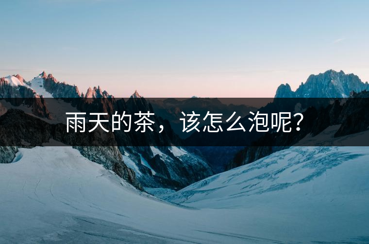 雨天的茶，該怎么泡呢？