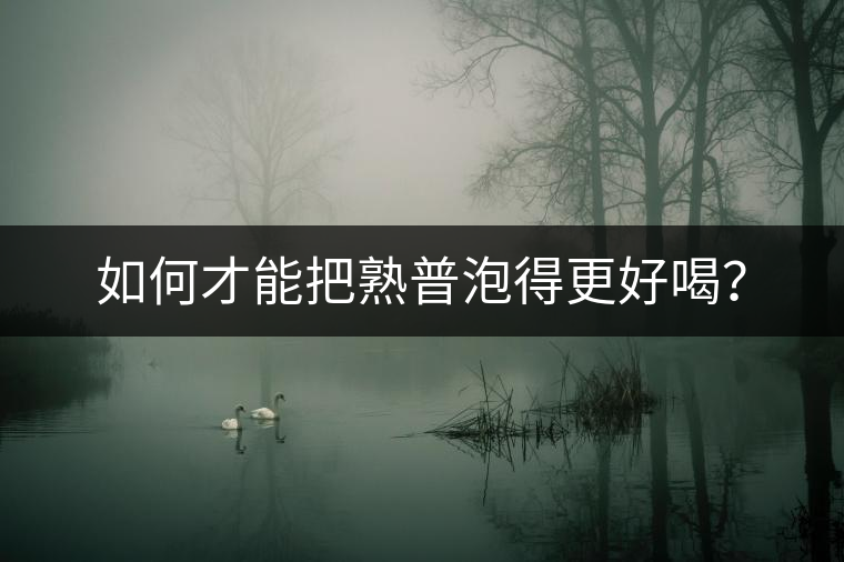 如何才能把熟普泡得更好喝？