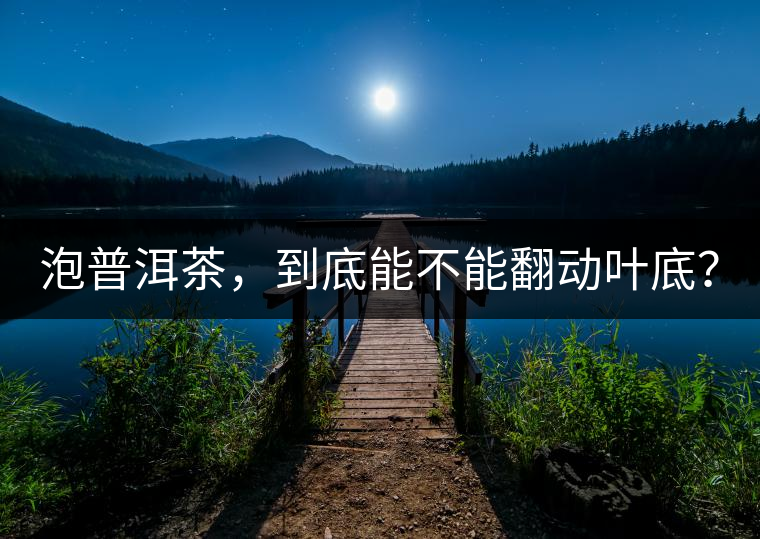 泡普洱茶，到底能不能翻動葉底？