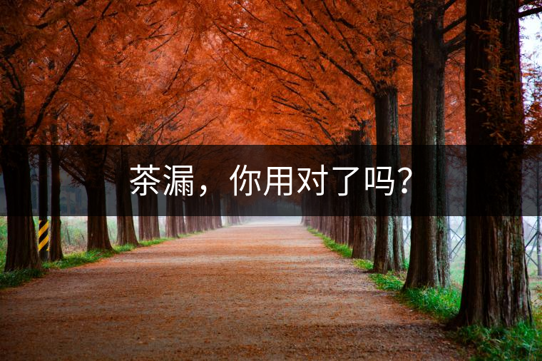 茶漏，你用對(duì)了嗎？