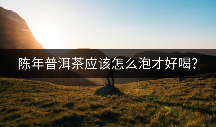 陳年普洱茶應(yīng)該怎么泡才好喝？