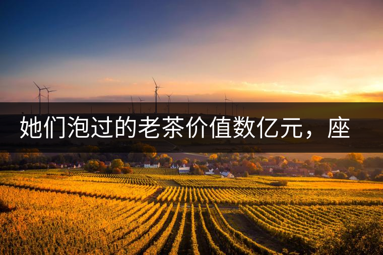 她們泡過的老茶價值數(shù)億元，座上賓是余秋雨、李云迪……