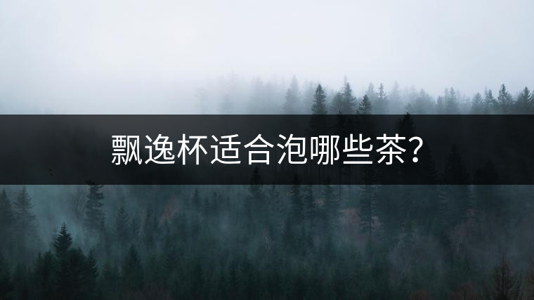飄逸杯適合泡哪些茶？