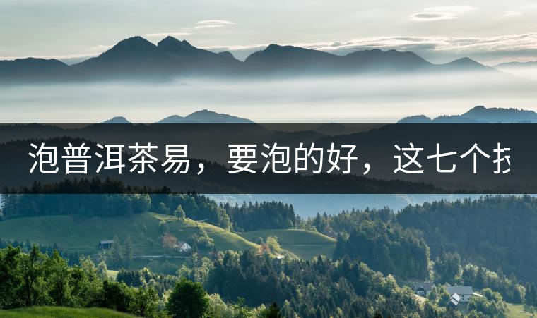 泡普洱茶易，要泡的好，這七個技巧很重要！