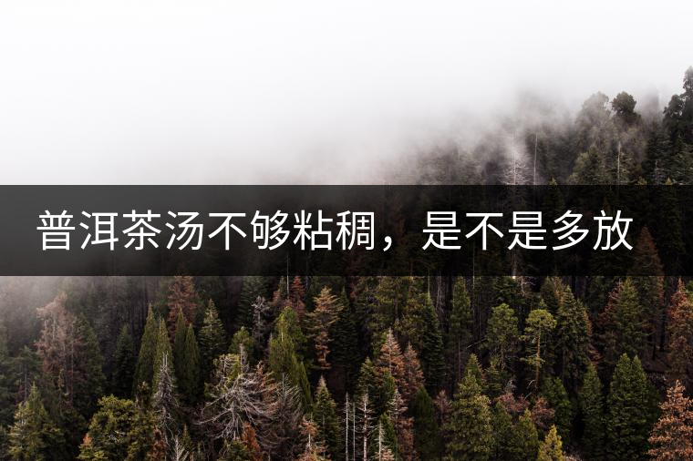 普洱茶湯不夠粘稠，是不是多放些茶葉就好了嗎？