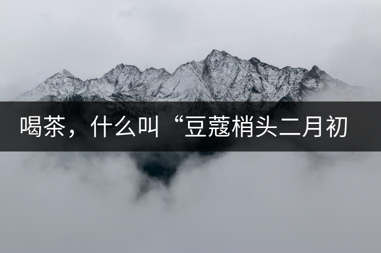 喝茶，什么叫“豆蔻梢頭二月初”？