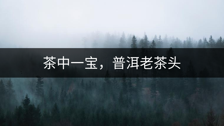 茶中一寶，普洱老茶頭