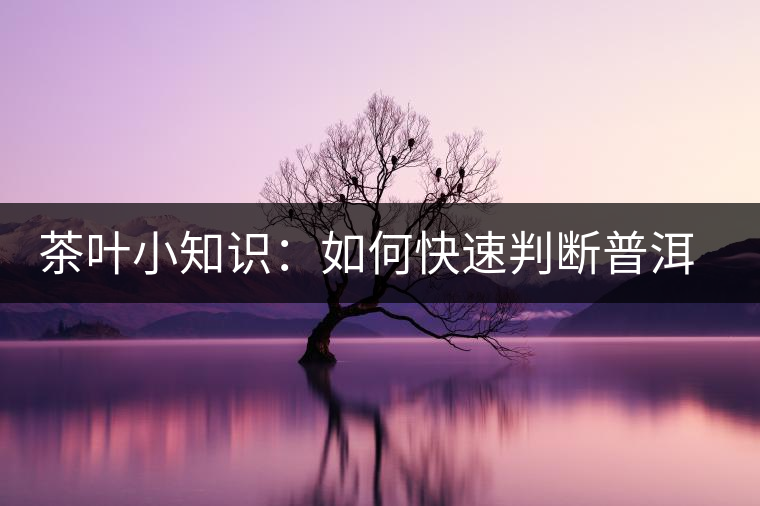 茶葉小知識：如何快速判斷普洱茶品級高低？