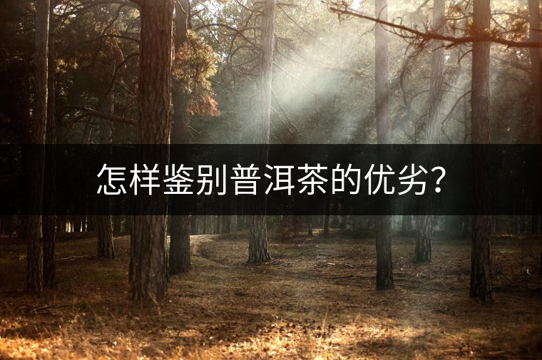 怎樣鑒別普洱茶的優(yōu)劣？