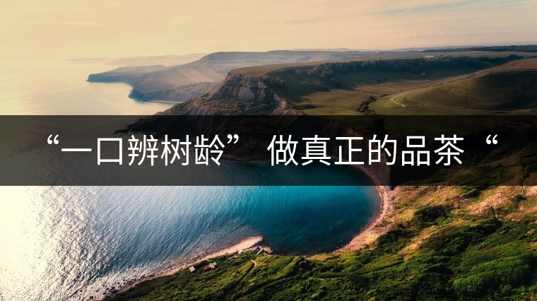 “一口辨樹齡” 做真正的品茶“大師”！