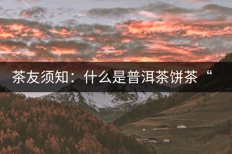 茶友須知：什么是普洱茶餅茶“八病”？如何鑒別？