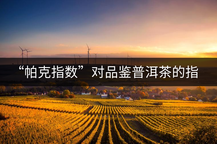 “帕克指數(shù)”對品鑒普洱茶的指導(dǎo)意義在哪里？「跨界有道」