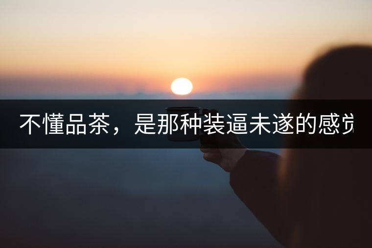 不懂品茶，是那種裝逼未遂的感覺？