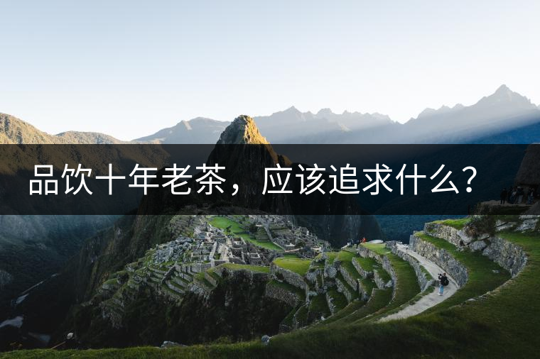 品飲十年老茶，應該追求什么？滋味還是故事？