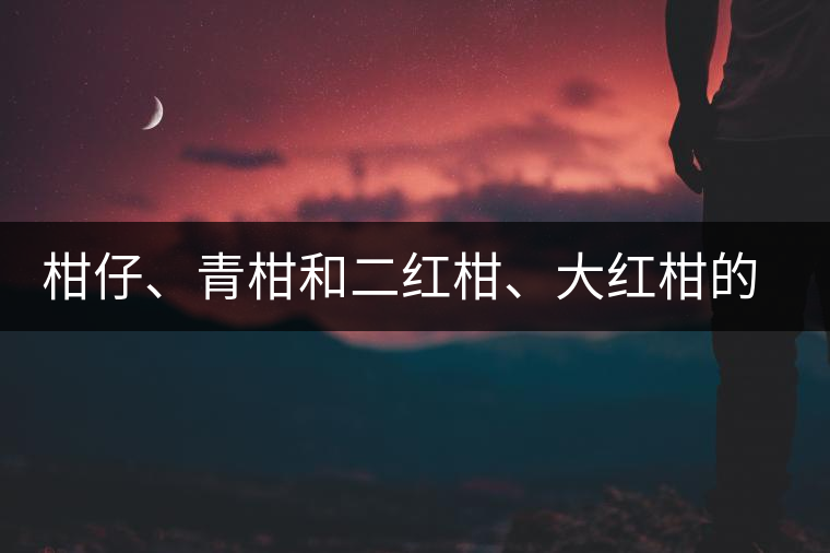 柑仔、青柑和二紅柑、大紅柑的區(qū)別，你可知道？