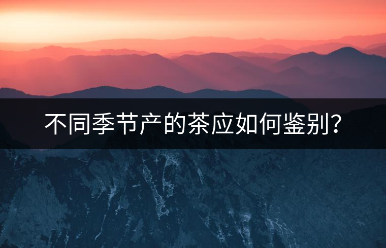 不同季節(jié)產(chǎn)的茶應(yīng)如何鑒別？