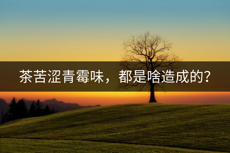 茶苦澀青霉味，都是啥造成的？