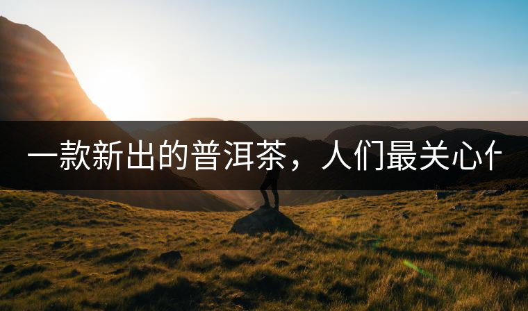 一款新出的普洱茶，人們最關(guān)心什么?