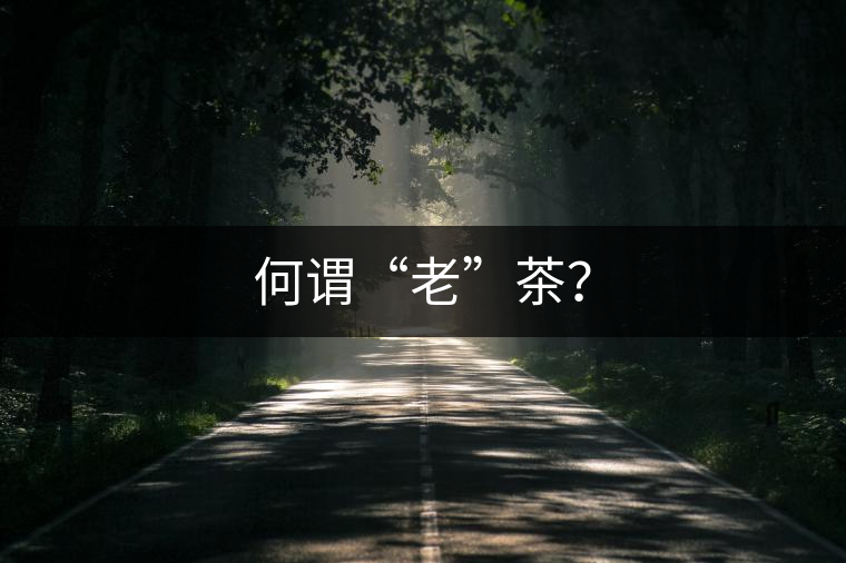 何謂“老”茶？