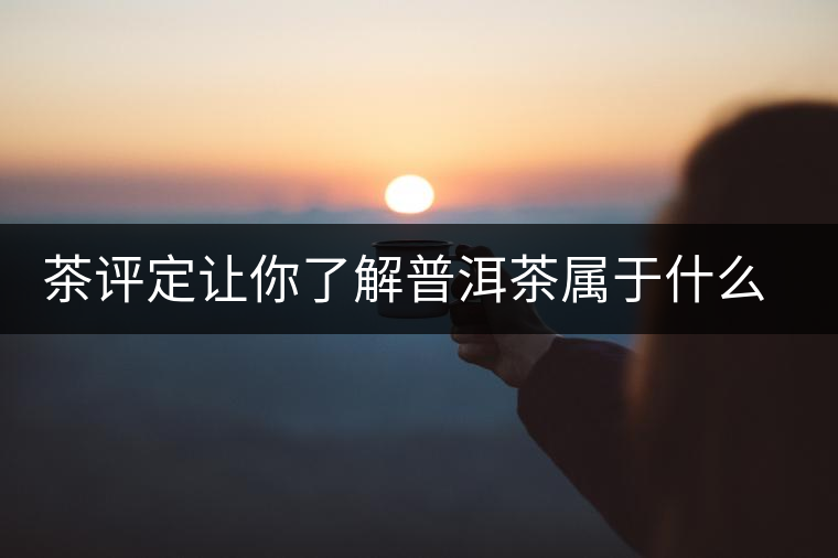 茶評定讓你了解普洱茶屬于什么茶系？