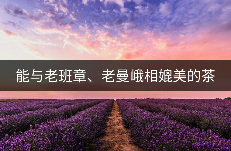 能與老班章、老曼峨相媲美的茶