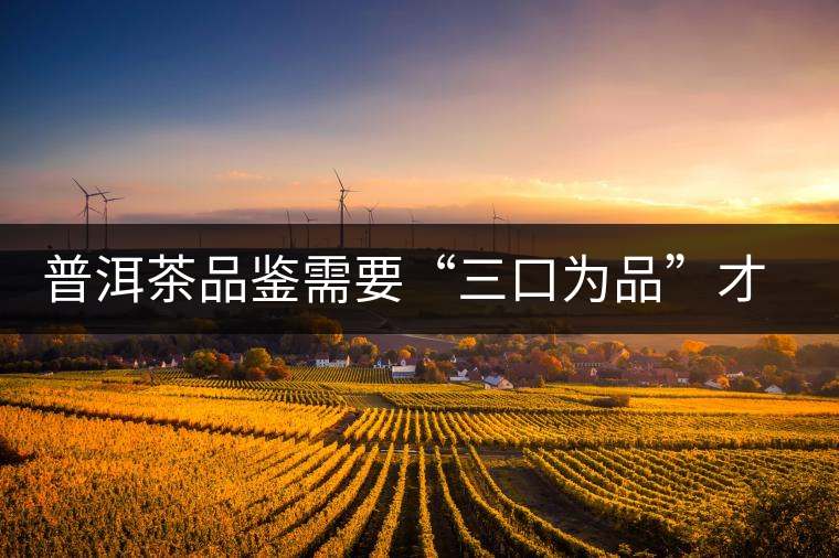 普洱茶品鑒需要“三口為品”才真實，那從哪里入手品鑒呢？