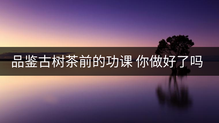 品鑒古樹茶前的功課 你做好了嗎？