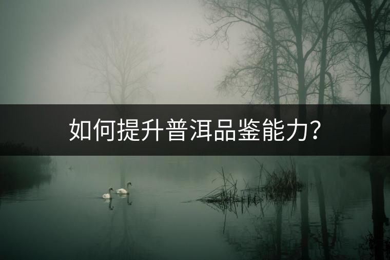 如何提升普洱品鑒能力？