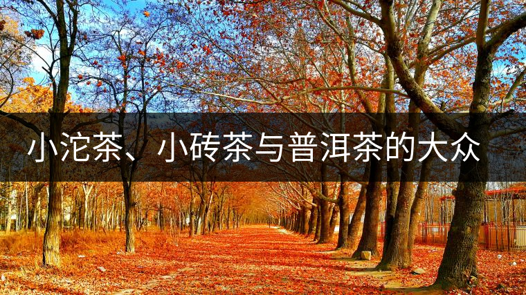 小沱茶、小磚茶與普洱茶的大眾化之路