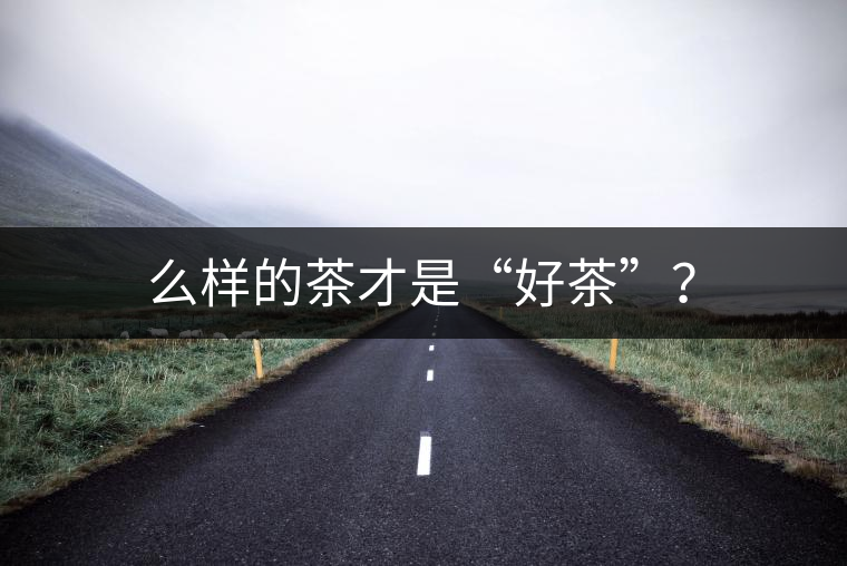 么樣的茶才是“好茶”？