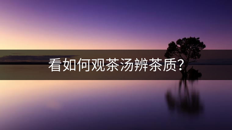 看如何觀茶湯辨茶質(zhì)？