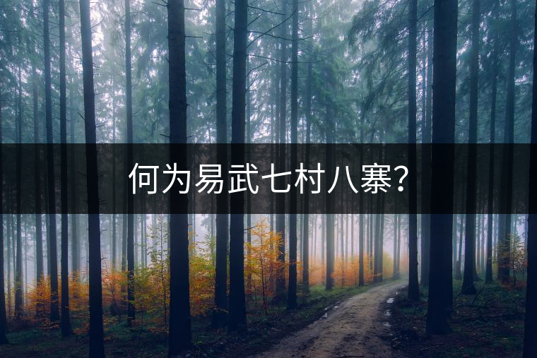 何為易武七村八寨？