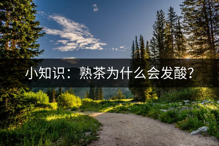 小知識：熟茶為什么會發(fā)酸？