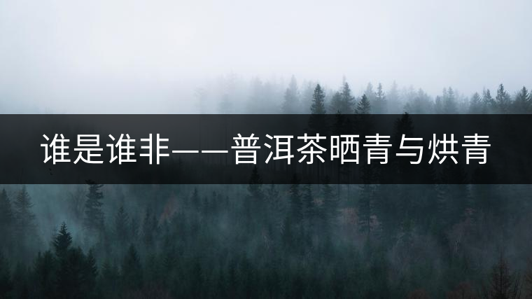 誰(shuí)是誰(shuí)非——普洱茶曬青與烘青