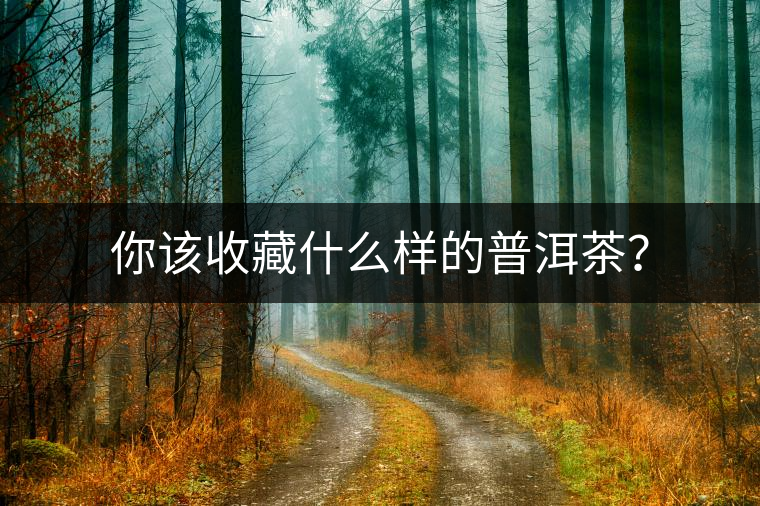 你該收藏什么樣的普洱茶？