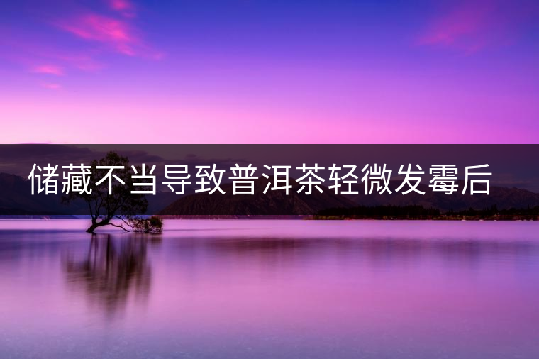 儲藏不當(dāng)導(dǎo)致普洱茶輕微發(fā)霉后如何處理？