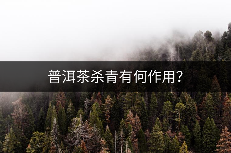 普洱茶殺青有何作用？