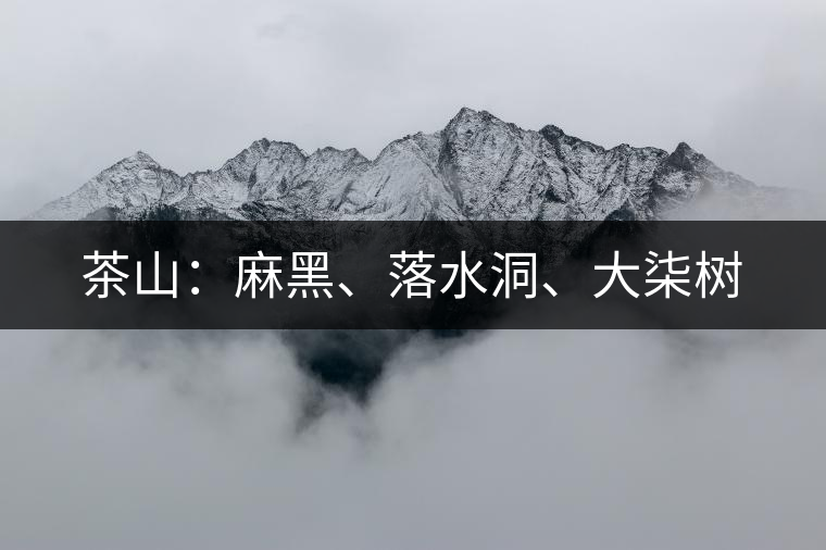 茶山：麻黑、落水洞、大柒樹(shù)
