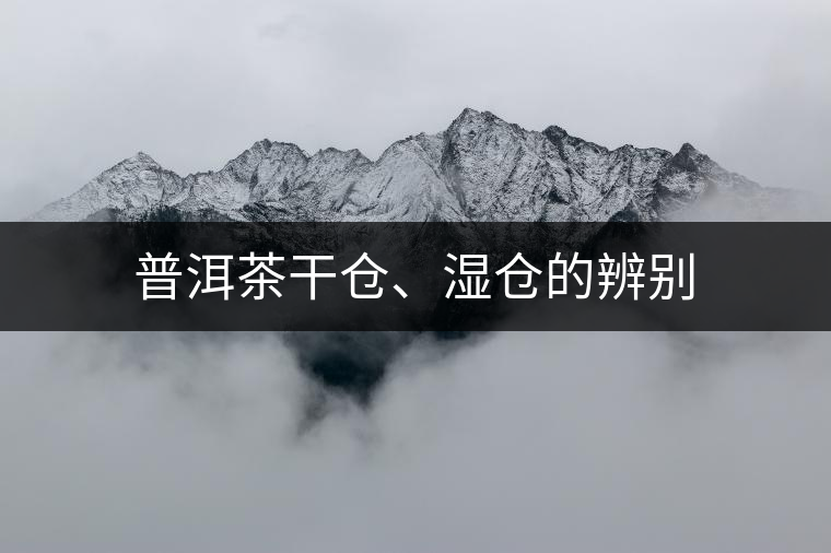 普洱茶干倉、濕倉的辨別