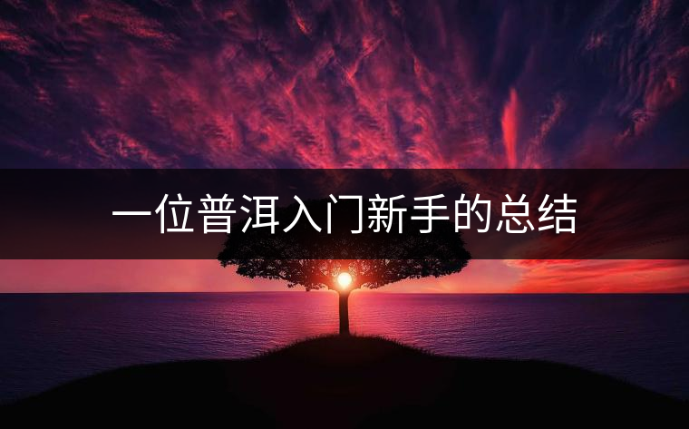 一位普洱入門新手的總結(jié)