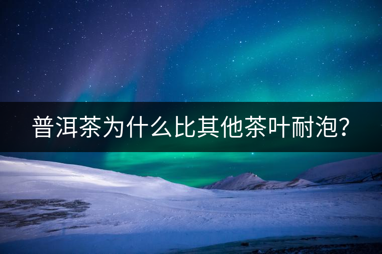 普洱茶為什么比其他茶葉耐泡？